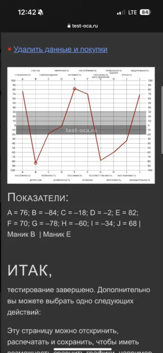 Правильный пример скриншота результата теста ОСА — образец 3